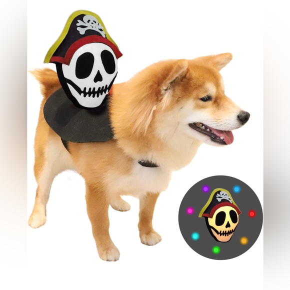Glowing Pirate Dog Costume Halloween - Picture 1 of 11